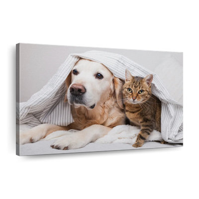 Chien et chat douillet sur toile