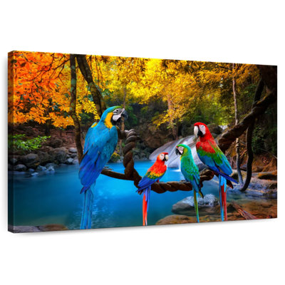 Brampt Safari Parrots