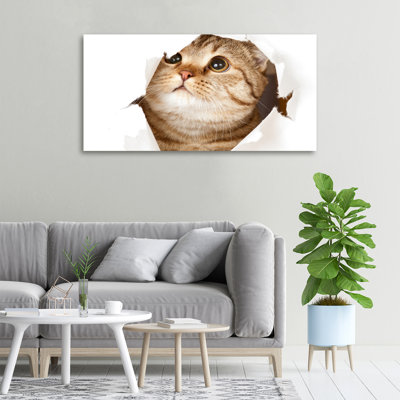 Cat - No Frame Print on Canvas