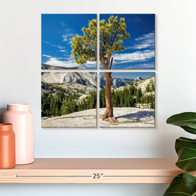 Harnek Yosemite Park Tree