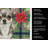 Chihuahua Christmas PoinsettIas Kitchen Towel-2080583834