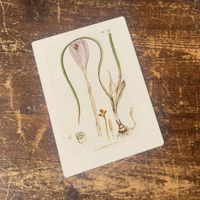 Handmade Plants & Flowers Wall Decor on Metal