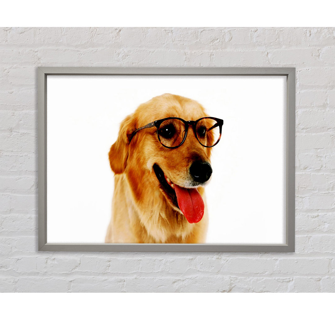 Golden Retriever Nerd - Einzelner Bilderrahmen Kunstdrucke auf Leinwand