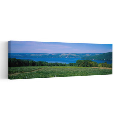Vue en plongée d'un vignoble près d'un lac, lac Keuka, Finger Lakes, État de New York, États-Unis, tranquille, paysage contemporain contemporain, art mural