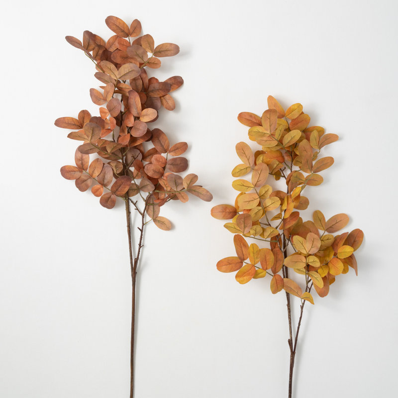 Leaf Arrangement