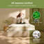 Natural Jay-Be Pocket Sprung Mattress