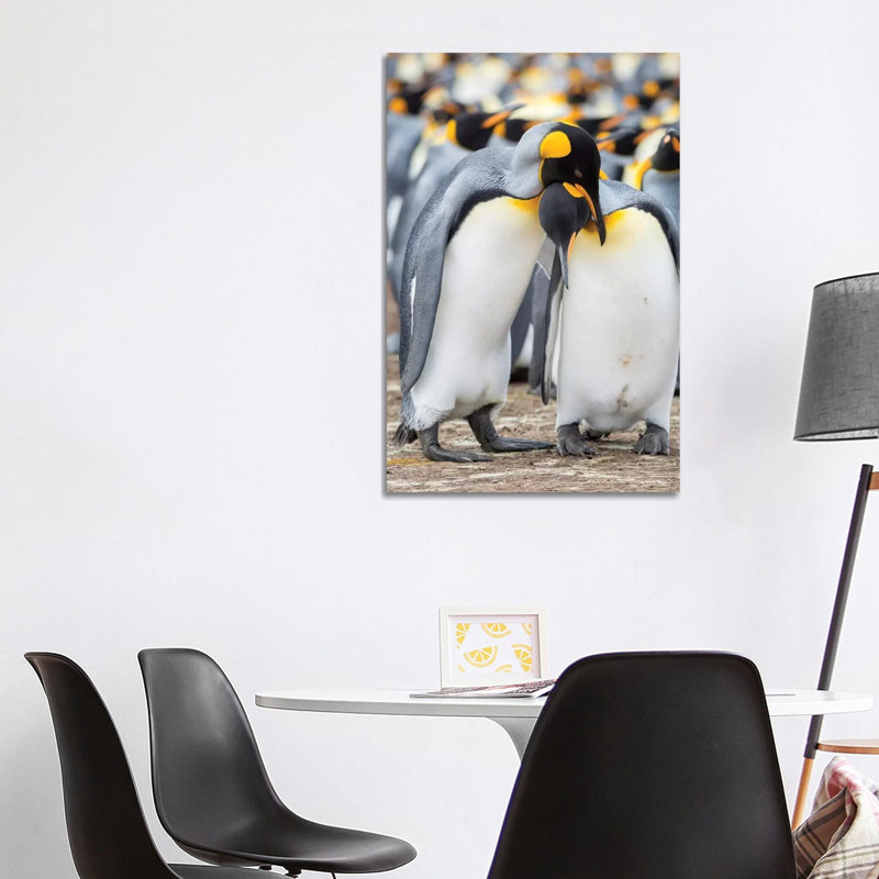 Courtship Display. King Penguin on Falkland Islands. 1 Piece Wrapped Canvas Wall Art, 101.6 cm H x 66.04 cm W x 1.91 cm D