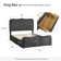Queneisha Upholstered Storage Bed