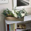  Mixed Floral Arrangement in Pot
