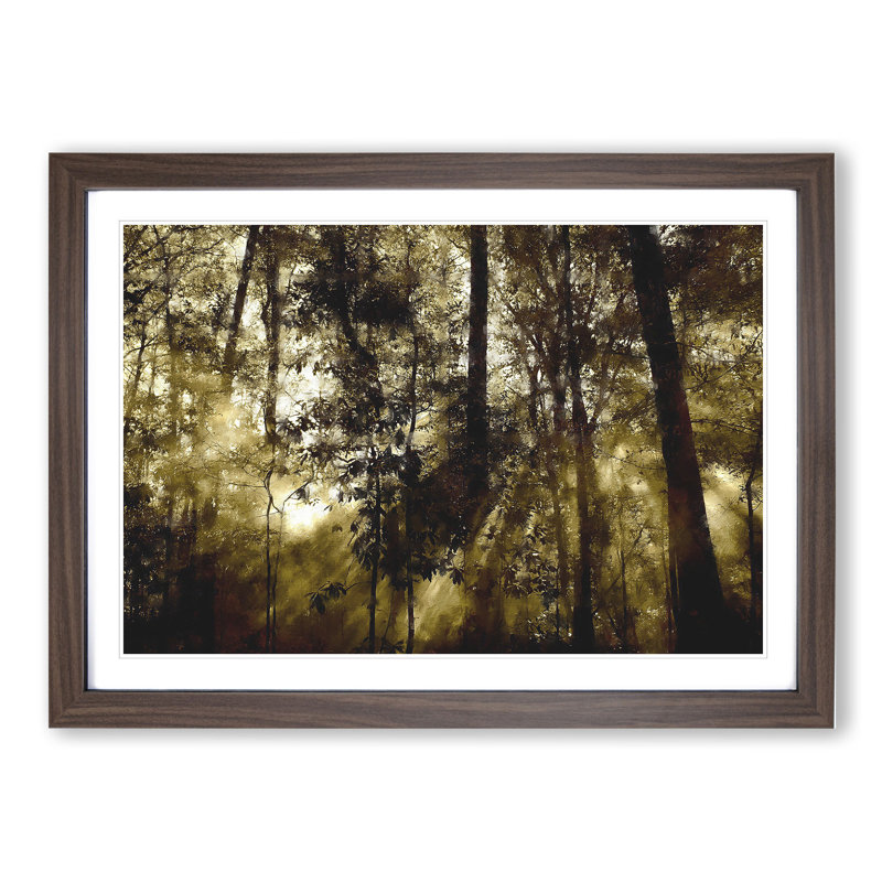 Sunlight Forest Vol.8 - Picture Frame Painting, Walnut Framed, 48cm H x 65cm W x 2cm D