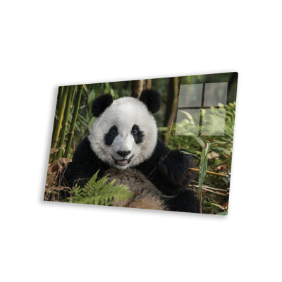 Portrait of Young Giant Panda, China, Chengdu, Chengdu Panda Base. by Jaynes Gallery - Unframed Painting -  Latitude RunÂ®, 69AA7CEE2BE54A219902F55B741D9384