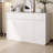 Pramit 63'' Sideboard