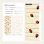 Rouleau de papier peint mural moderne coccinelle-875070005
