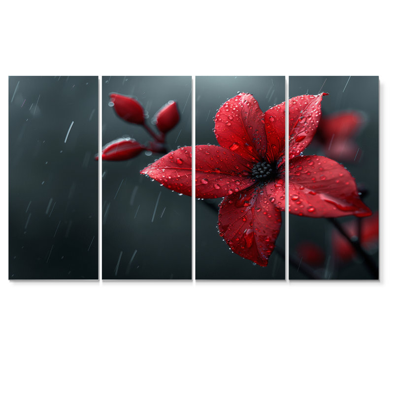 Red Red Poinsettia Raindrop Reflections II - plantes, art mural sur toile, H 28 po x l 48 po