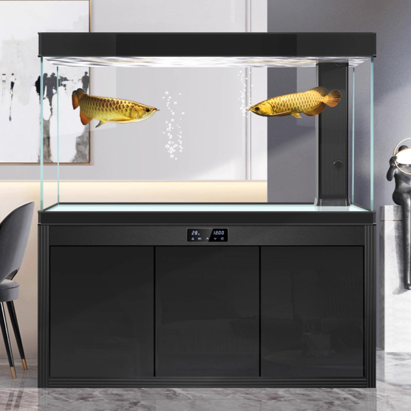 Aquarium moderne en verre ultra-transparent et minimaliste, Noir