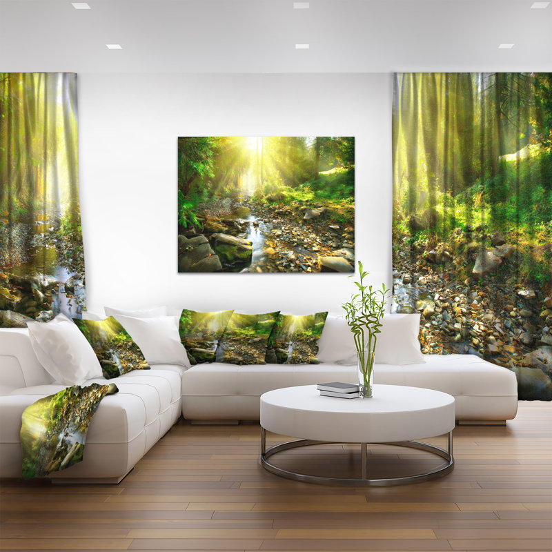 Mountain Stream in Forest Landscape Canvas Print