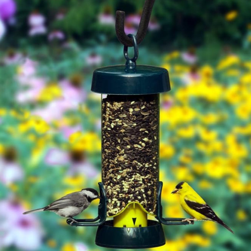 Brome Tube Solution 100 Backyard Bird Feeder, 1.7lb Capacity, 2 Feeding Ports