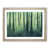 Oak Framed