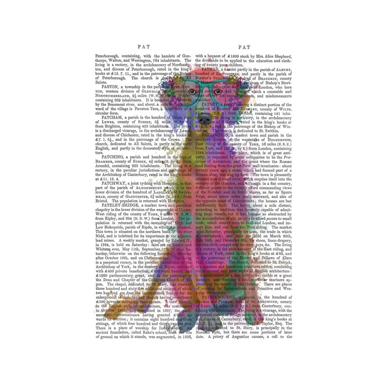 Rainbow Splash Weimaraner, Full, Print BG by Fab Funky - Wrapped Canvas Gallery-Wrapped Canvas Giclée, 45.72cm H x 30.48cm W