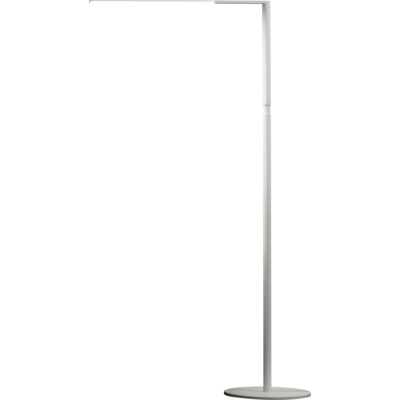 Lady7 52.05'' LED Task Floor Lamp with USB, Matte White