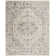 Jase Charleston Performance Oriental Rug