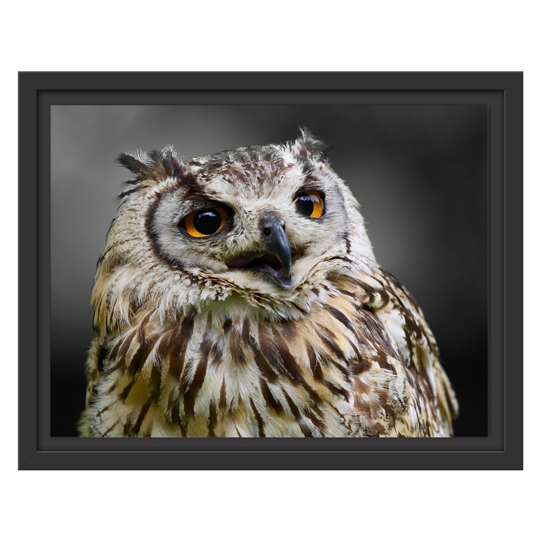 Gerahmter Fotodruck Beautiful Wood Owl