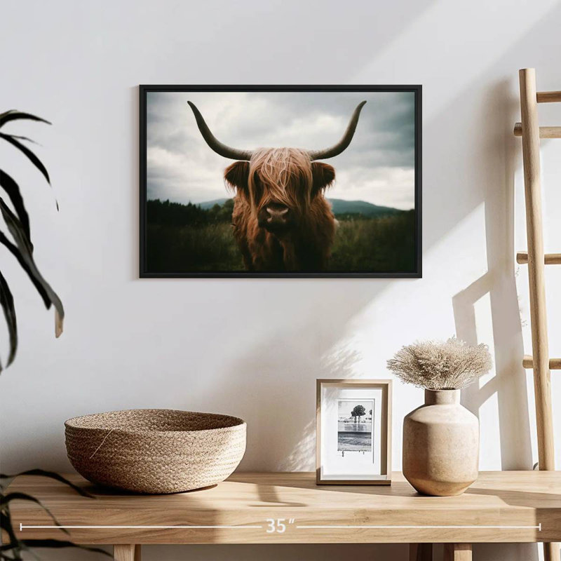 Brampt Open Field Highland Cow, H 13 po x l 19 po