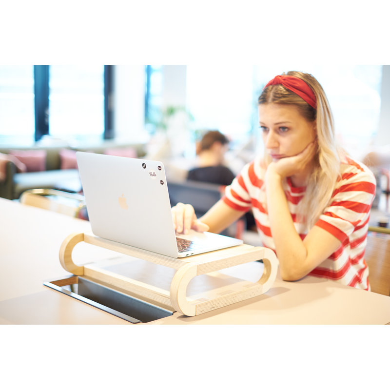 Desktop Riser