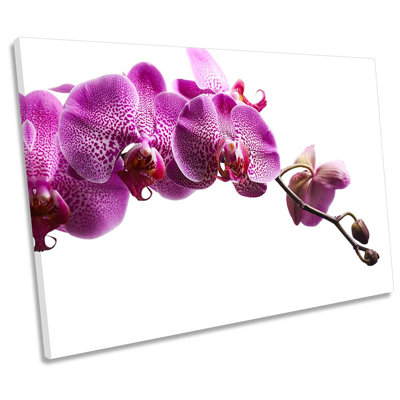 Pink Orchid Flowers Floral Framed - Wrapped Canvas Print