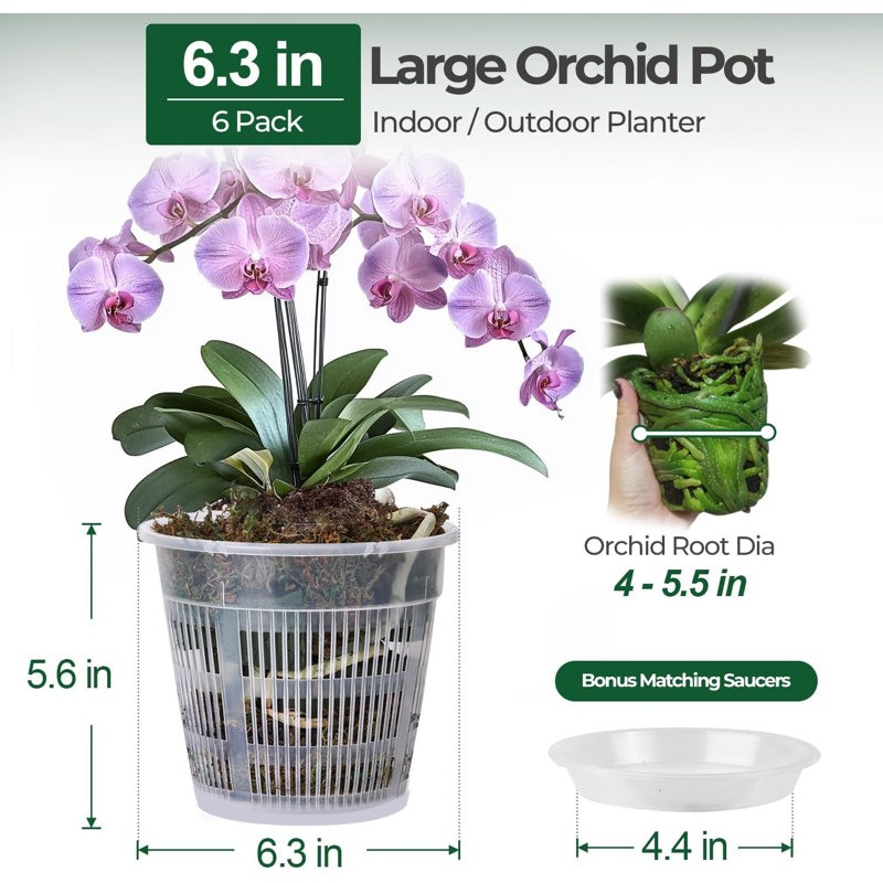 Pots orchidées transparents avec drainage et soucoupes, 6,3 po (ensemble de 6)