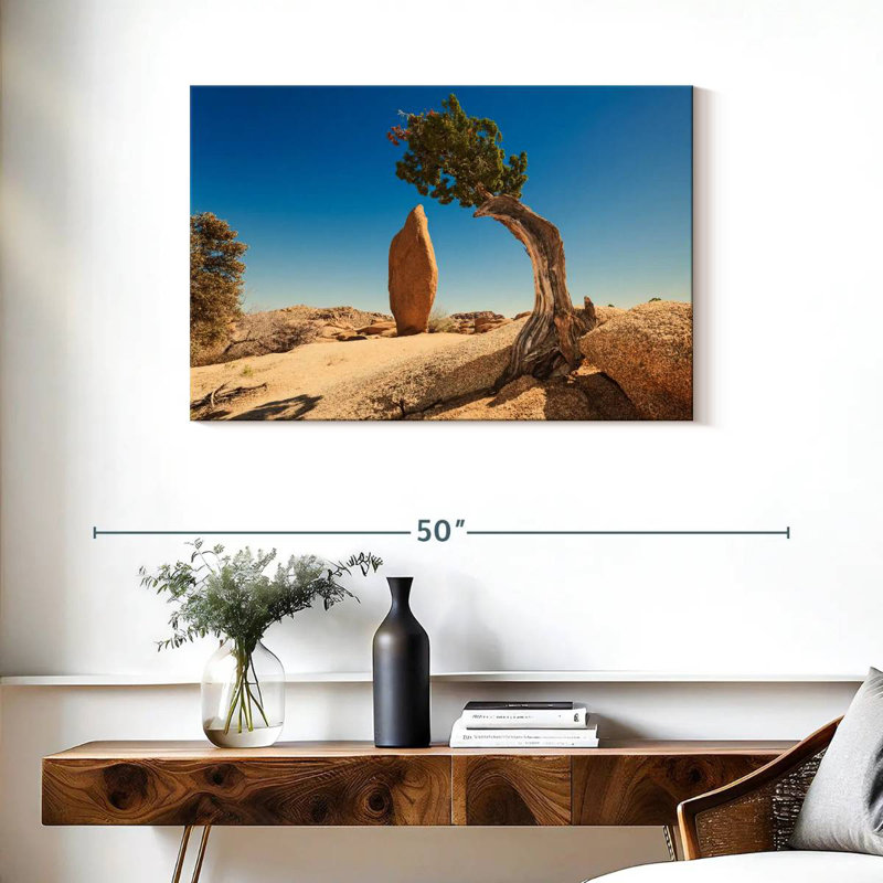 Genévrier et monolithe Nicci Joshua Tree Park, H 24 po x l 36 po