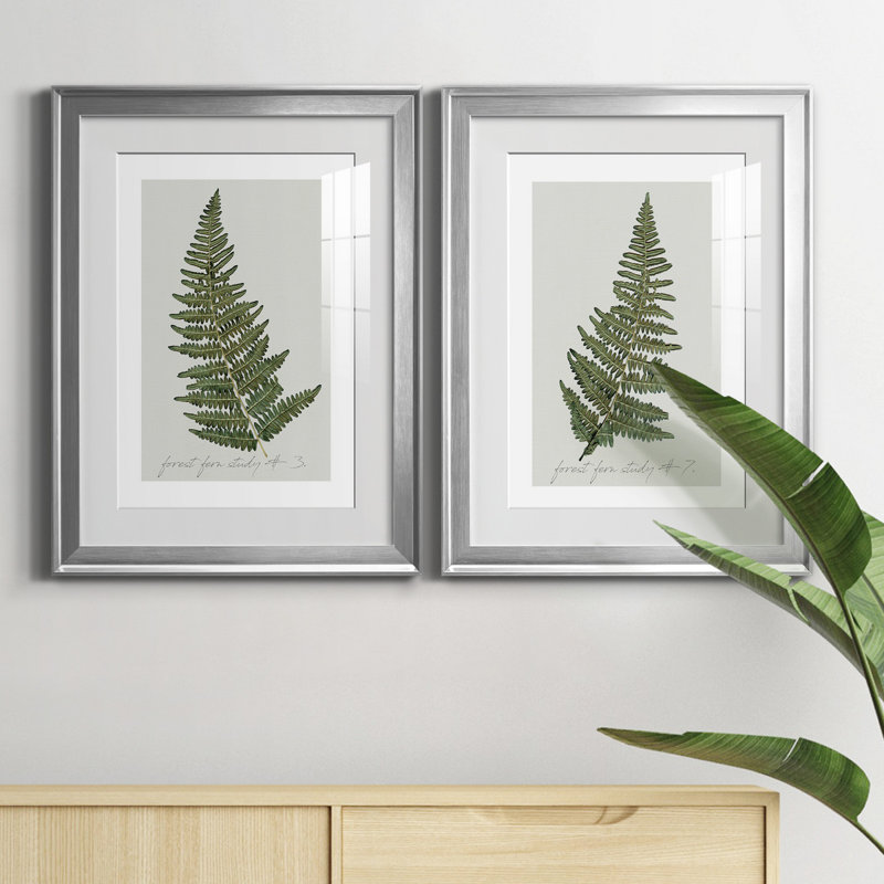 Fern Fernandes I - ensemble de 2 impressions, H 30,5 po x l 85 po x P 1,5 po, Papier avec cadre argenté, Blanc