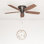 Ventilateur de plafond 52 po avec chaînette Glen Alden