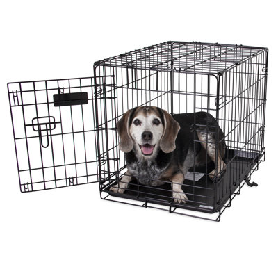 Livia Metal Pet Crate with 1 Door