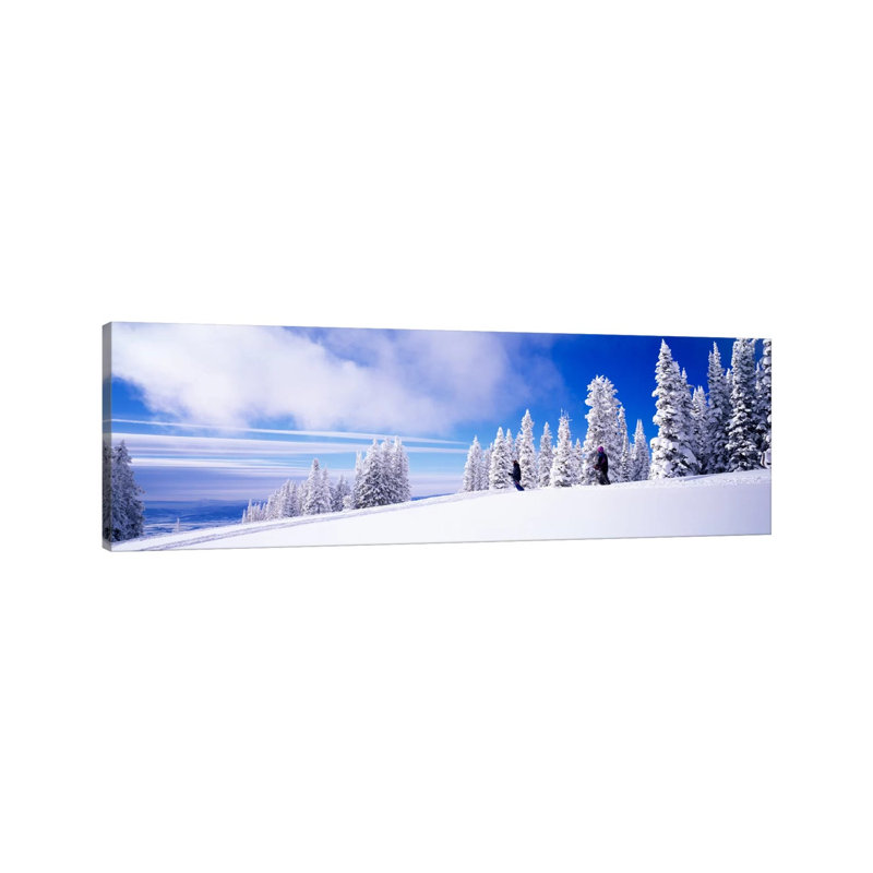 Steamboat Springs, Colorado, USA - Wrapped Canvas Panoramic Print, 121.92 cm H x 40.64 cm W x 3.175 cm D