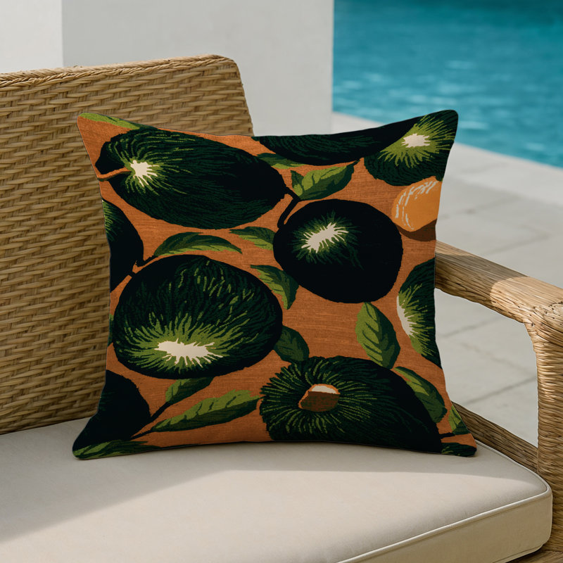 Coussin intérieur et extérieur, Sapote noire, Carré 20 po