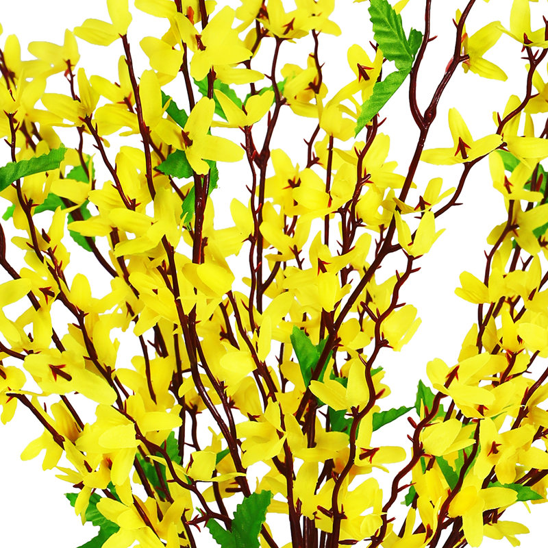 Forsythia Arrangement