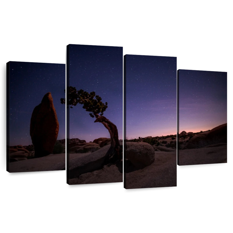 Lynelle Joshua Tree Night Landscape, 32" H x 52" W