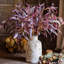 Tige d'eucalyptus Whispers of Autumn 33 po de hauteur-263622497