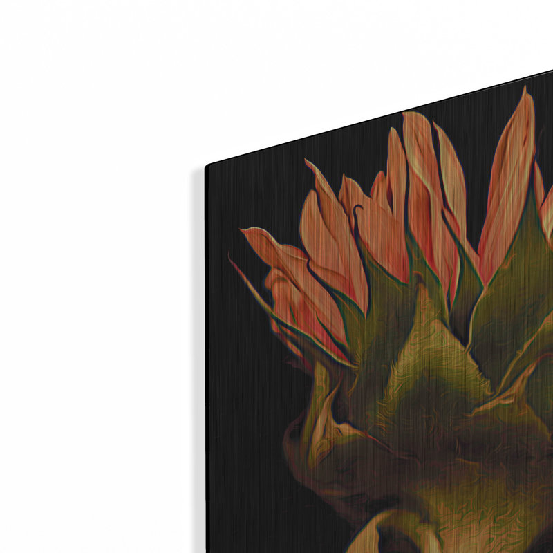 Tournesol par Pamela Plummer, H 24 po x l 24 po