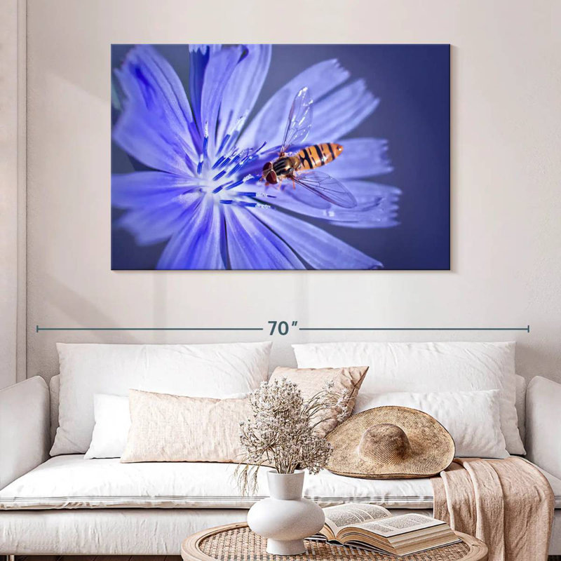 Bee On Chicory Flower, 32" H x 48" W