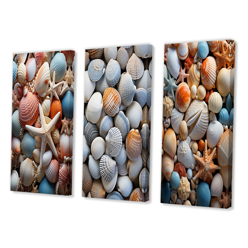 «Beach Photo Seashell Symphony VII», 3 pièces sur toile, H 32 po x l 48 po, Toile tendue