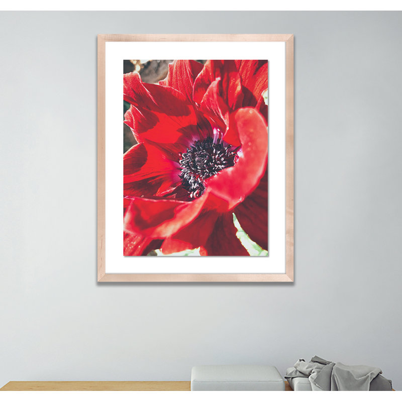 Red Poppy Print by Vitaliy Paykov, Natural, 40" H x 32" W x 2.5" D
