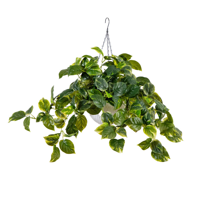 24 po Pothos artificiels résistants aux rayons UV avec 50 lumières DEL blanc chaud dans un panier suspendu blanc (intérieur / extérieur)