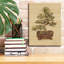 «Bonsai 1» par Cheri Blum, art mural sur toile-102842312