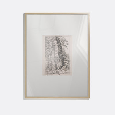 Three Tall Trees Framed Drawing Print