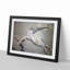 Falcon Birds by Matsumura Goshun - Picture Frame Painting Print-55535809-55535808