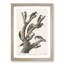 Woodpeckers by John James Audubon - Picture Frame Painting Print-55614547-55614548
