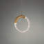 Luminaire suspendu géométrique 1 lumière Ringlet