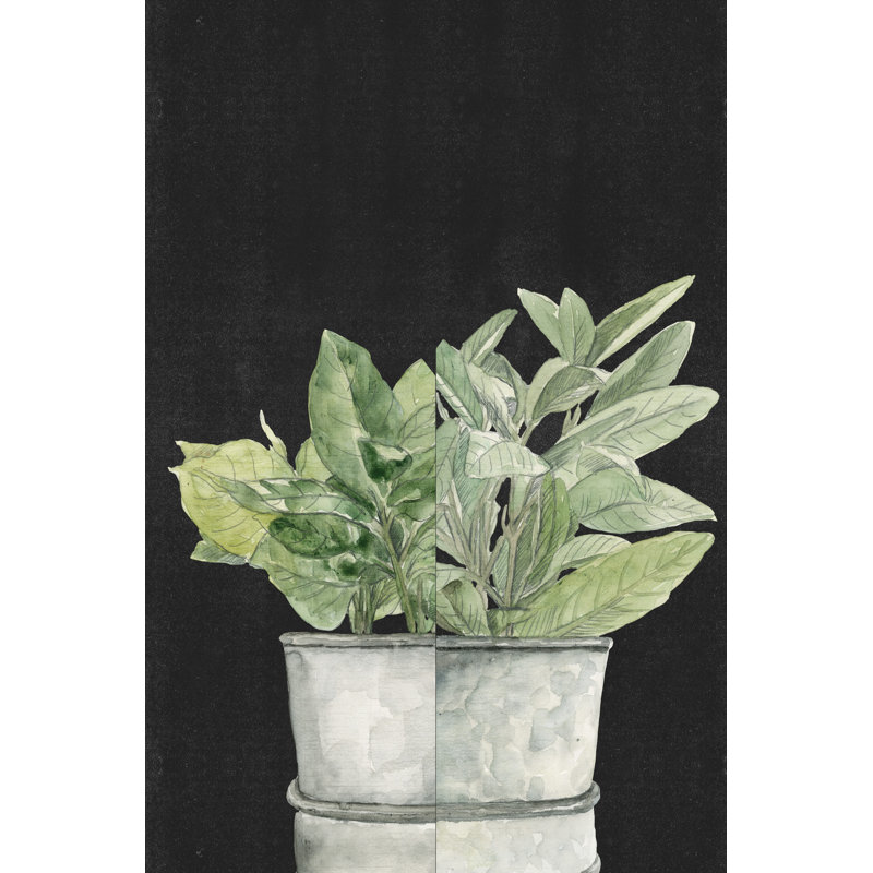 Potted Plants - Wrapped Canvas Print, 46cm H x 30cm W x 3.8cm D